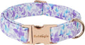Elegant Butterfly Dog Collar, Gradient Purple Blue Dog Collars by Unknown