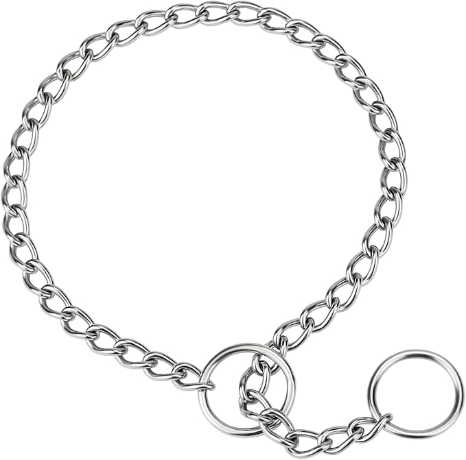 TagME Chain Choke Collar for Dogs, Adjustable Weather Proof Necklace for Medium by TagME