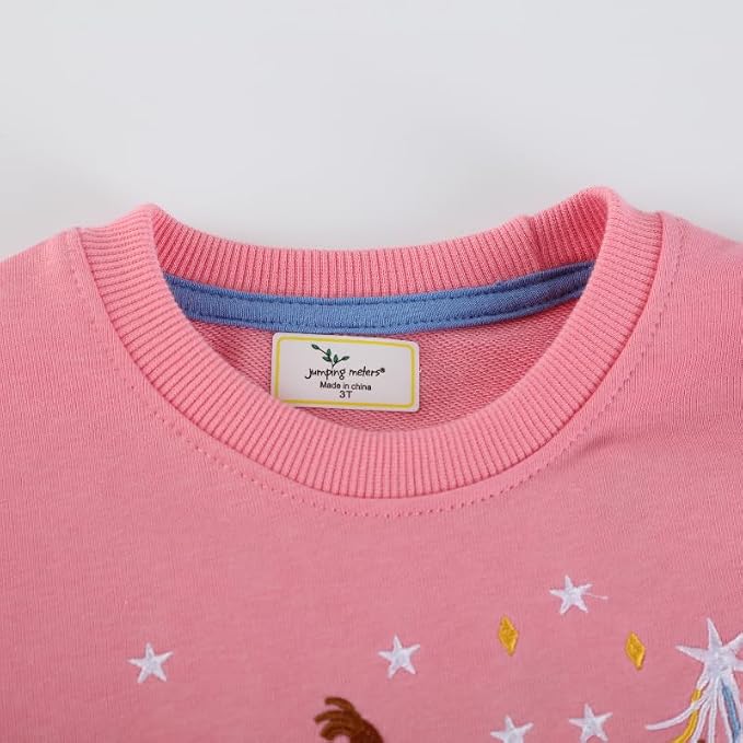 Toddler Baby Girls Cotton Sweater, Long Sleeve Crewneck Sweatshirt Pullover - Image 5