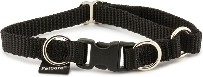 PetSafe KeepSafe Break-Away Safety Collar by PetSafe
