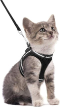 rabbitgoo Cat Harness and Leash Set by rabbitgoo