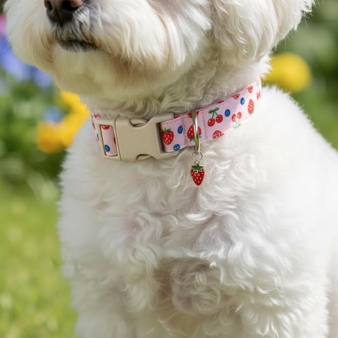 Girl Dog Collar, Cute Dog Collar - Image 5
