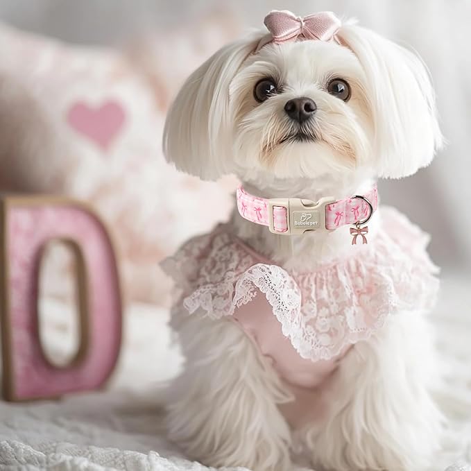 Girl Dog Collar for Large Dogs - Image 7