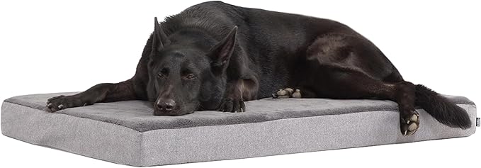 Barkbox Orthopedic Dog Bed by BARK