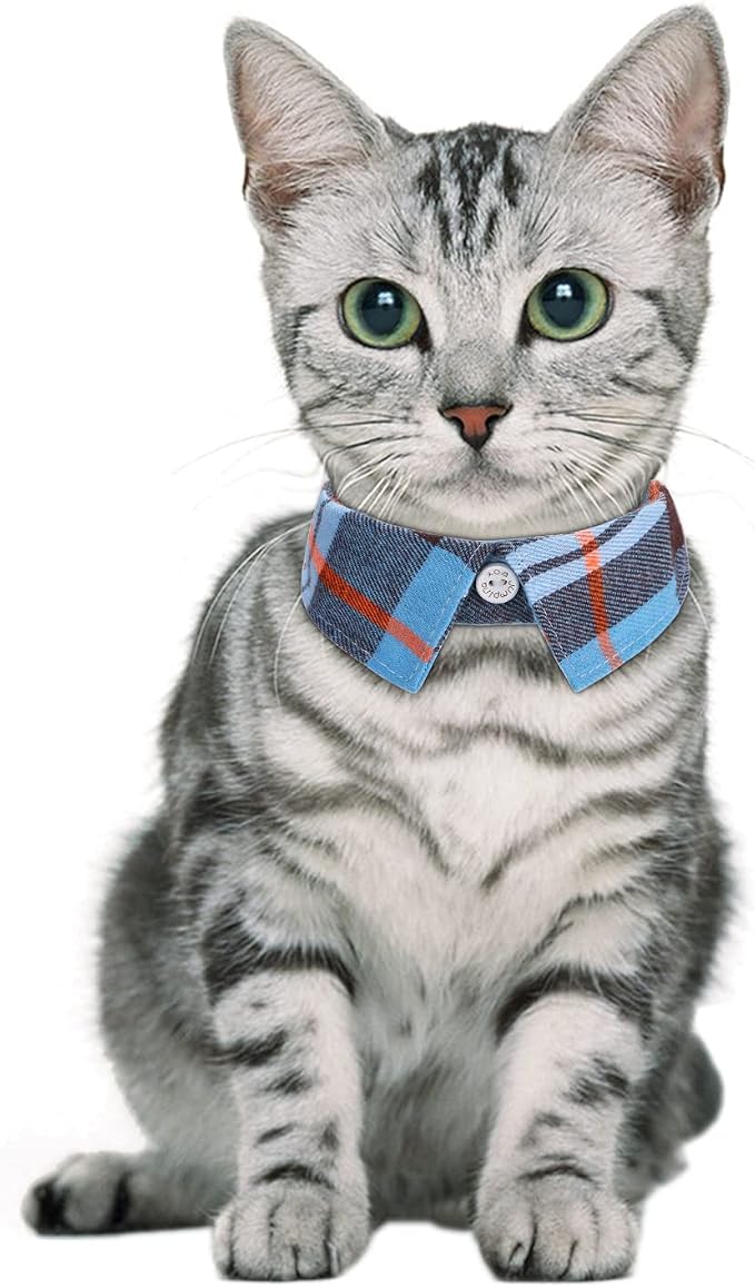 Faleela 2 Pack/Set Cat Collar - Image 4