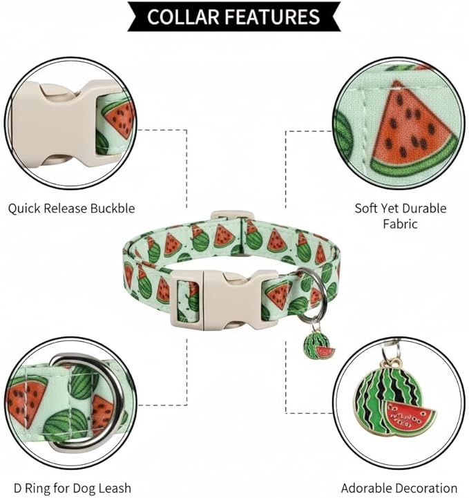 Summer Dog Collar for Large Dogs, Cute Dog Collar - Image 2