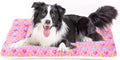 Mora Pets Dog Crate Pad by MoraPets