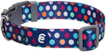 Blueberry Pet Essentials Rainbow Polka Dots Adjustable Dog Collar, Neck by BlueberryPet