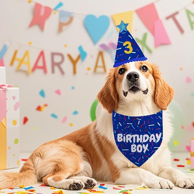 Dog Birthday Bandana Set, HBD Party Supplies - Image 5