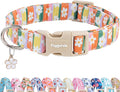 Faygarsle Colorful Floral Dog Collar, Cotton Fabric by Faygarsle