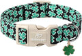 St Patricks Day Dog Collar for Medium Dogs by Babolepet