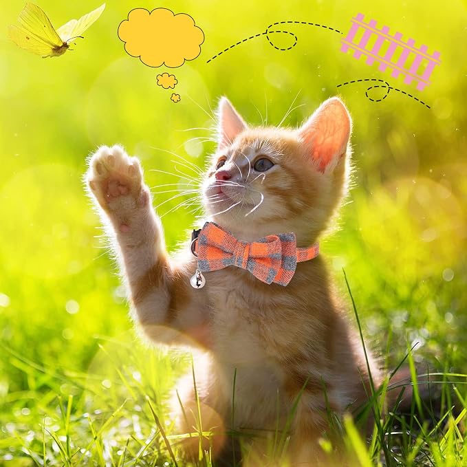 DragonflyDreams 6 PCS Cat Collars - Image 6