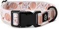 Lucy & Co. Awesomely Autumn Dog Collar by LucyCo