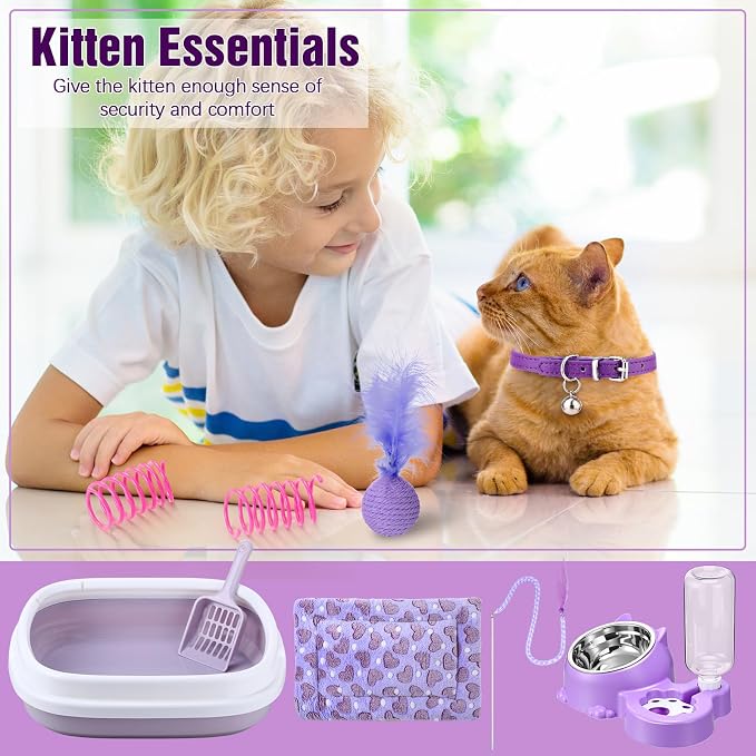 Eccliy Kitten Starter Kit, Pet Toy, Folding Carrier, Climbing Frame, Automatic - Image 4