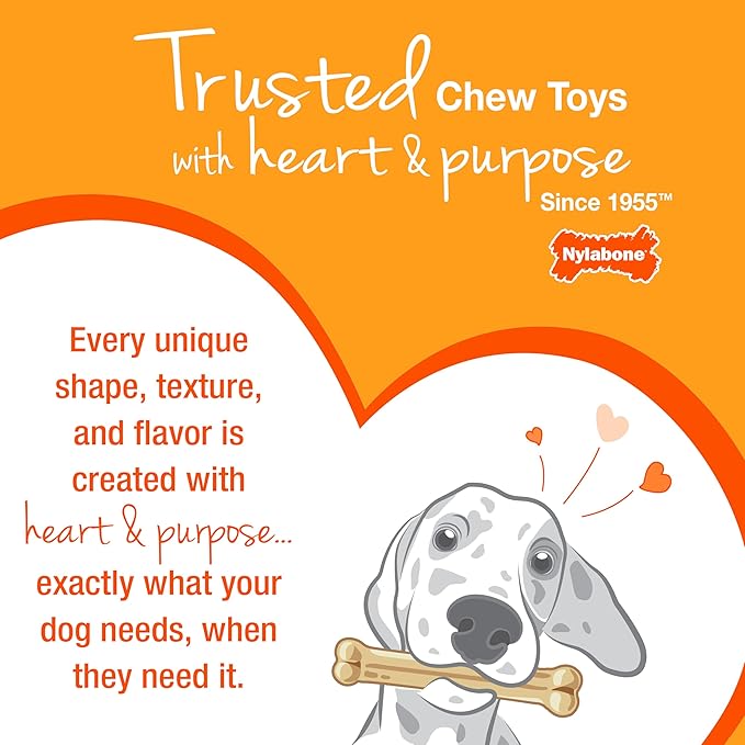 Nylabone Puppy Pacifier Chew Toy, Teething Toys - Image 11