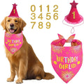 Dog Birthday Decorations Rose Pink, Dog Birthday Party Supplies by Unknown