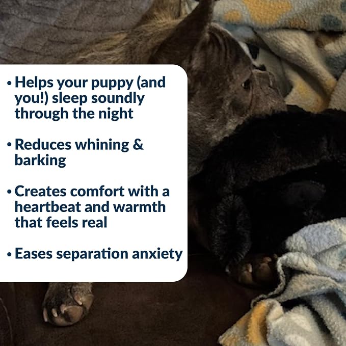 Snuggle Puppy Junior Heartbeat Puppy Toy - Image 3