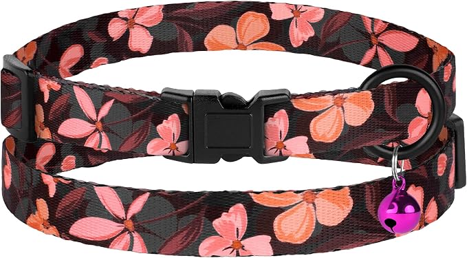 Cat Collars 2 Pack - Image 4