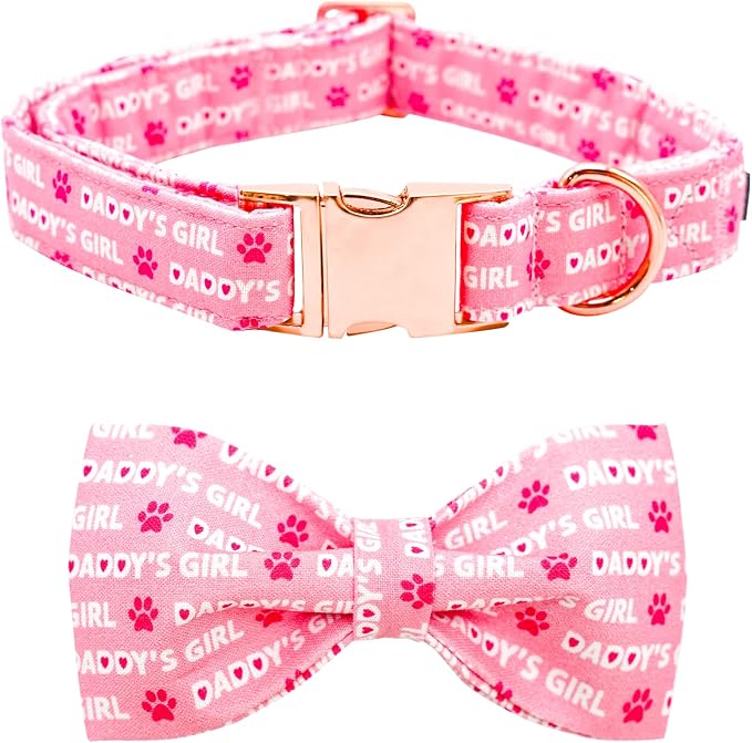 Lionheart Glory Bow Collar for Valentine's Day and Spring by LionheartGlory