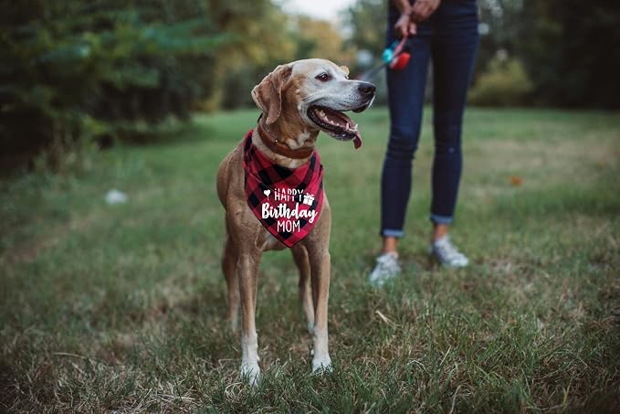 Ptzizi Funny Red Plaid Happy Birthday Mom Dog Printed Triangle Bandana - Image 6
