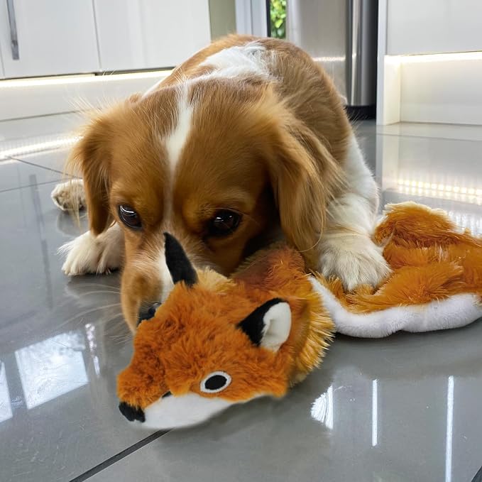 Best Pet Supplies Squeaky Dog Toys - Image 6