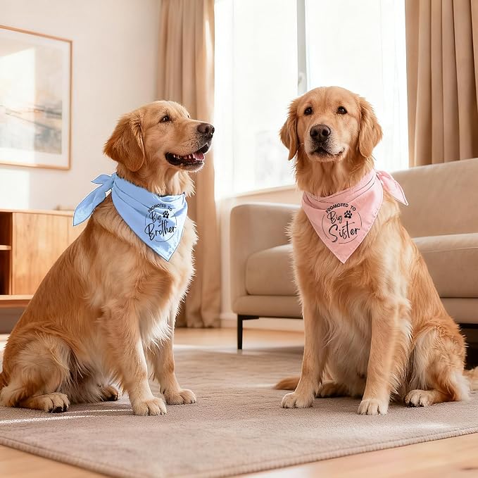 2 Pack Dog Bandana Pregnancy Announcement, Promoted to Big Brother and Sister - Image 5