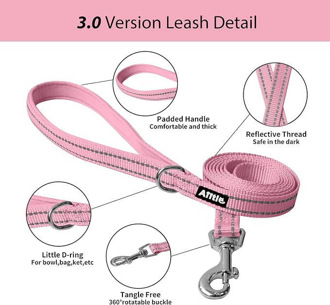 AIITLE Step in Dog Harness and Leash Set - Image 3