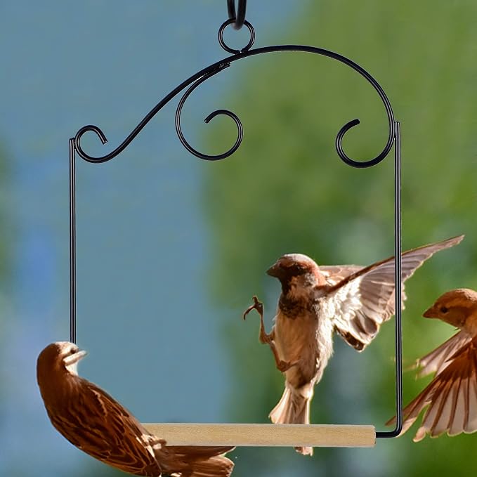 winemana Set of 3 Hummingbird Swings, Rust Resistant Metal Frame, Wooden Dowel - Image 6