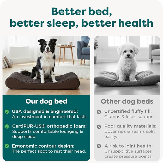 Furhaven Orthopedic Dog Bed for Large/Medium Dogs w/ Removable Washable Cover - Image 7