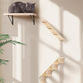 Wall Mounted 1 Pack Cat Shelf by PELUOMOZ