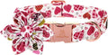 Lionheart Glory Heart Dog Collar, Valentine's Day Dog Collars by LionheartGlory