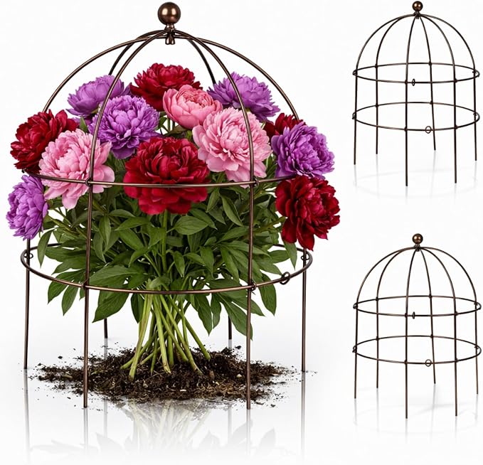 BreezeHug 3 Pack 24 H Peony Cage Climbing Plant Trellis Bird Cage Plant Support by Unknown