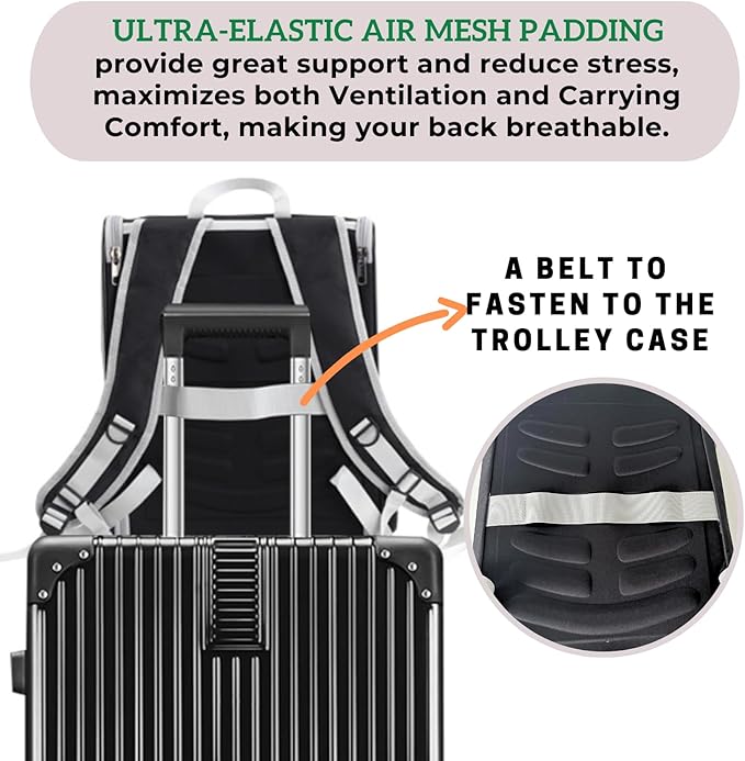 Lollimeow Cat Backpack Carrier, Airline Approved, Safe - Image 5