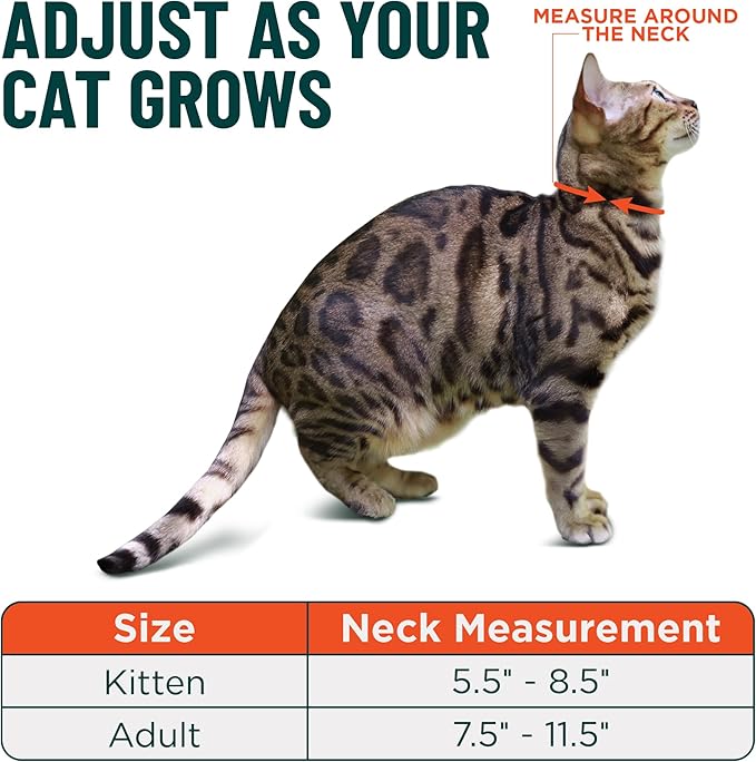 OutdoorBengal Pink Breakaway Kitten Collar - Image 5