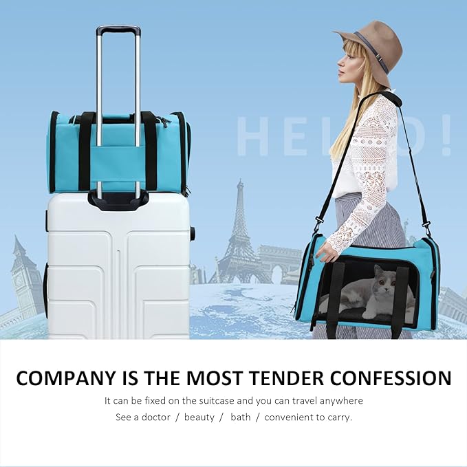 Henkelion Large Cat Carriers Dog Carrier Pet Carrier - Image 6
