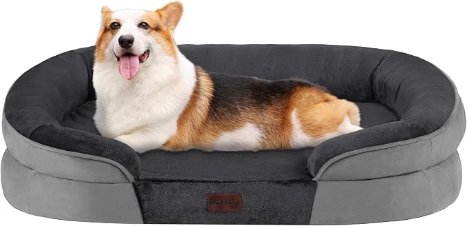 Dwanton Orthopedic Dog Bed for Medium Dogs by DWANTON