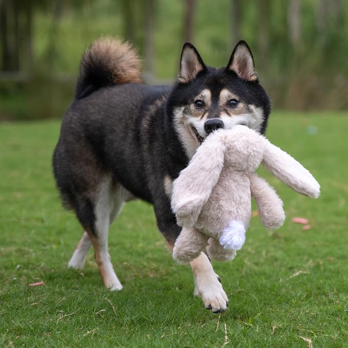 Best Pet Supplies Interactive Squeaky Dog Chew Toy, Ideal Dog Toys - Image 7