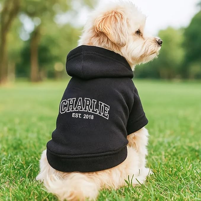 Noni Personalized Name Dog Hoodie, Embroidered Puppy Sweater - Image 3