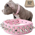 TEEMERRYCA Adjustable Leather Spiked Studded Dog Collars by TEEMERRYCA