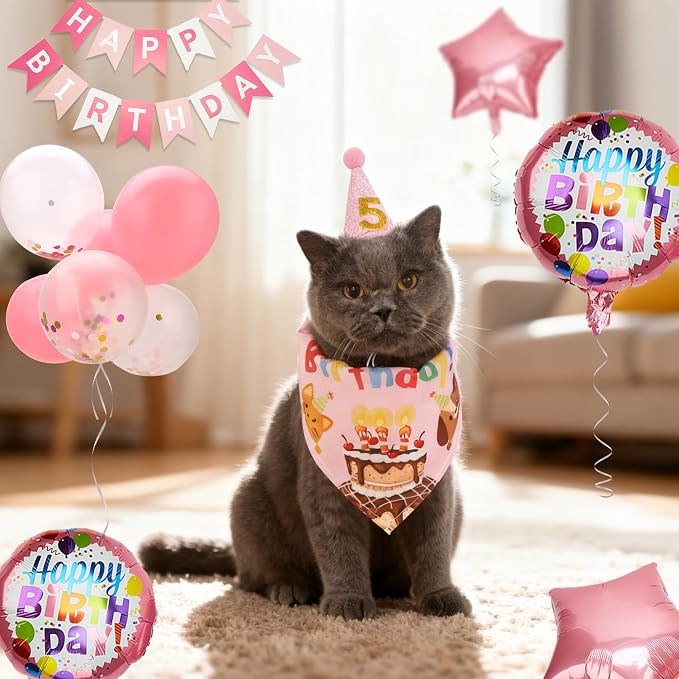 Dog & Cat Birthday Party Decorations Set Include Bandana, Adjustable Hat - Image 4