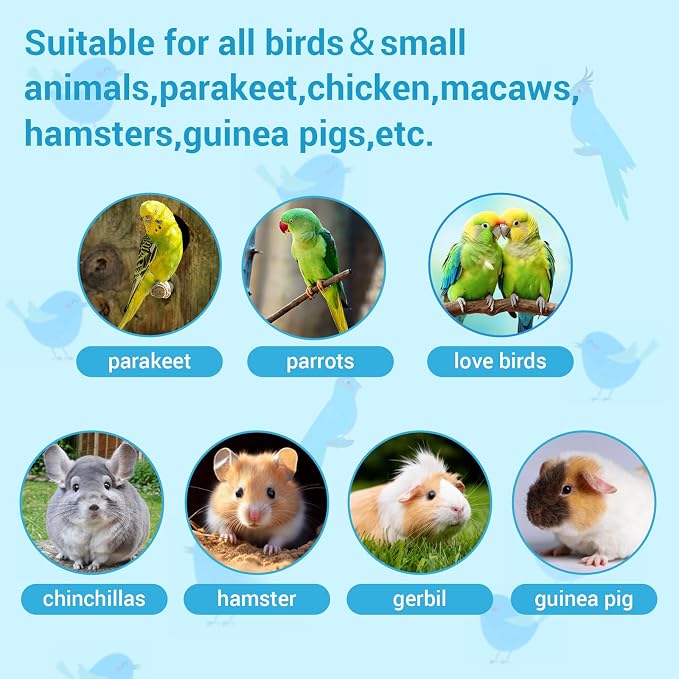 2 Pcs Parrot Feeder Chew Toy Balls, Bird Foraging Interactive Toys, Suitable - Image 3