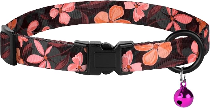 Cat Collars 2 Pack - Image 8
