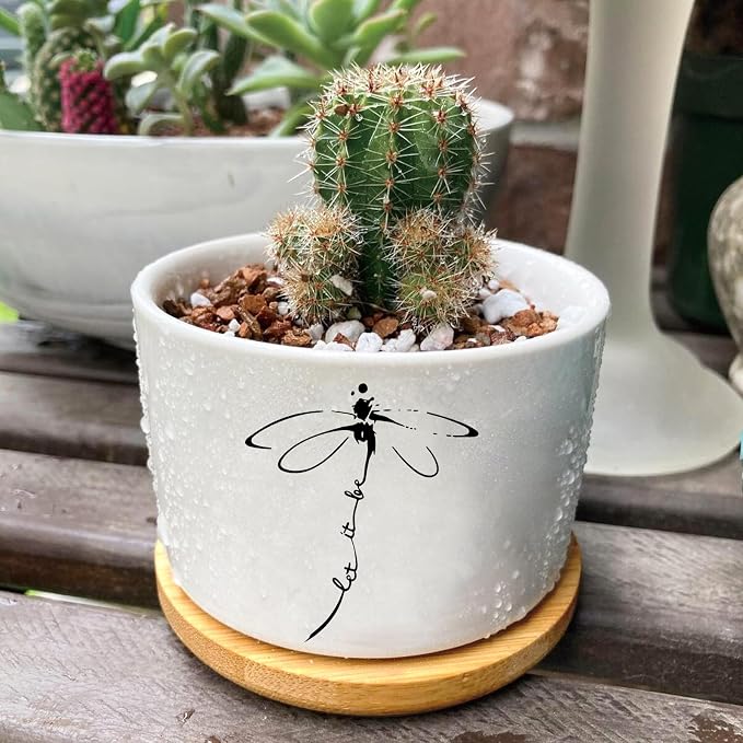 Window Garden Dragonfly Planter Pots, Dragonfly Gifts - Image 6