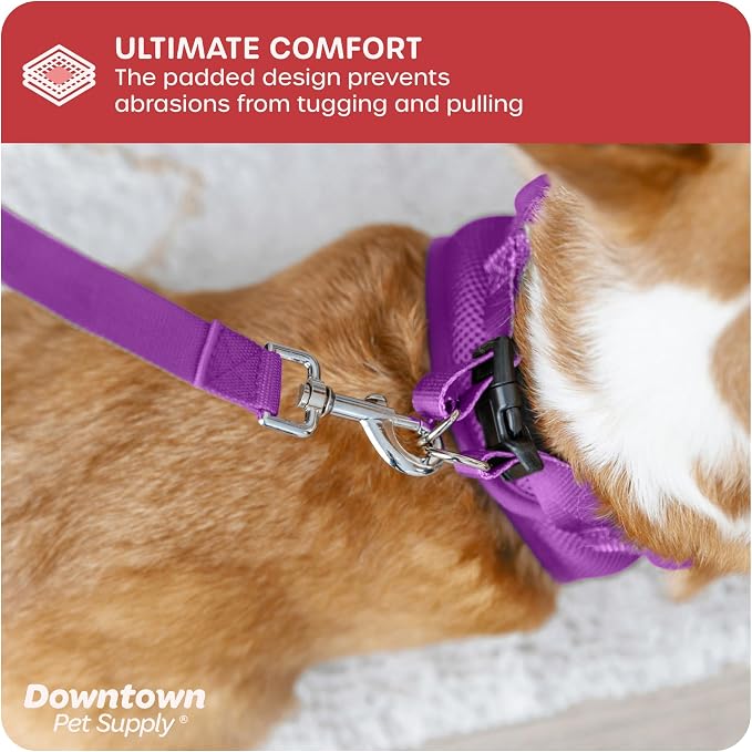 Downtown Pet Supply Step in Dog Harness No Pull - Image 6