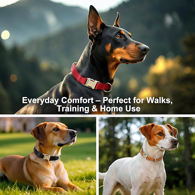 Plutus Pet Genuine Leather Dog Collar – Adjustable Pet Collar - Image 6
