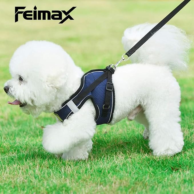FEimaX Dog Harness and Leash Set, No Pull Breathable Soft Mesh Puppy Vest - Image 4