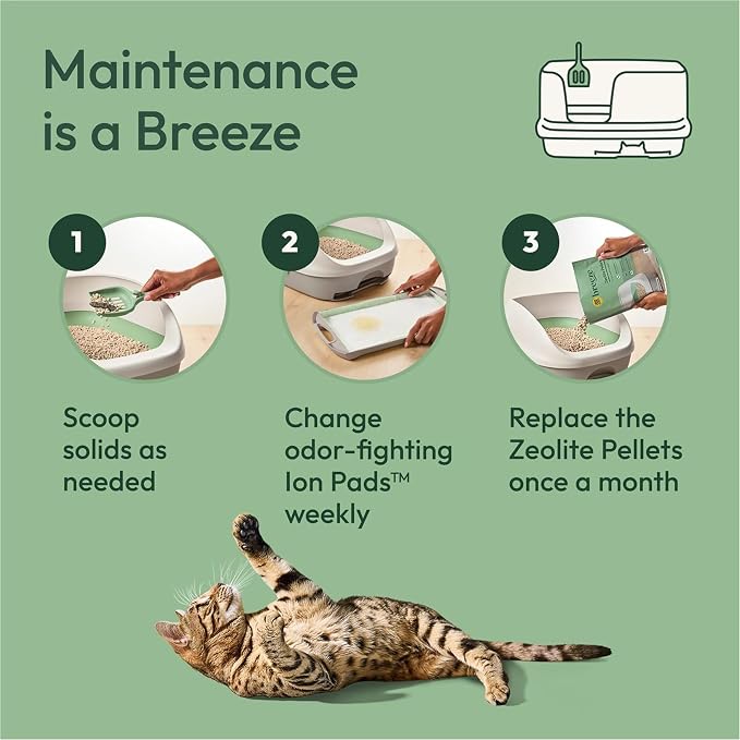 Purina Tidy Cats Breeze Litter System Cat Refill Bundle - Image 5