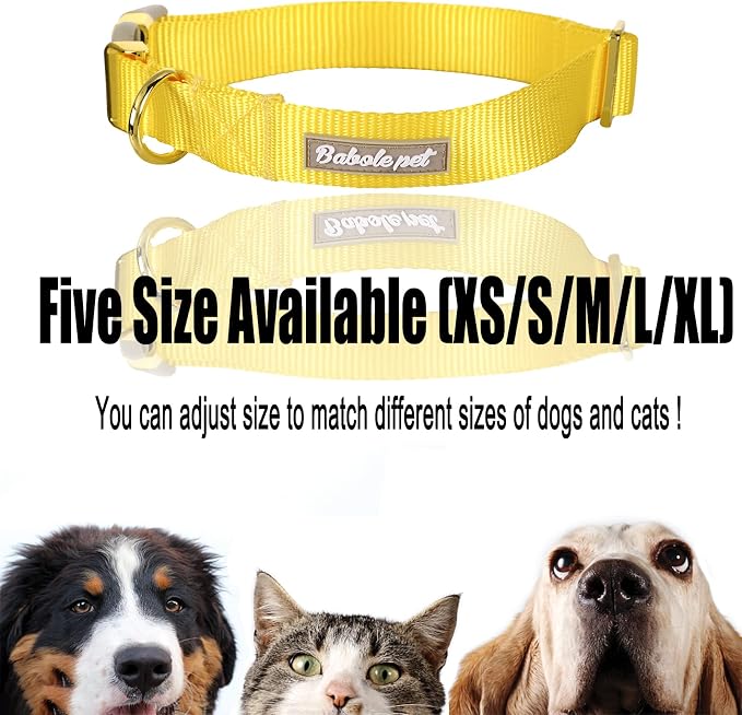 Nylon Dog Collar - Image 8