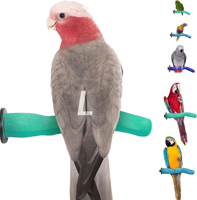 Sweet Feet and Beak Brid Cage Safety Pumice Perch by Sweet+Feet+%26+Beak