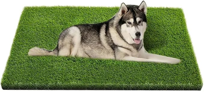 Artificial Grass, Professional Dog Grass Mat, Potty Training Rug and by CooZero